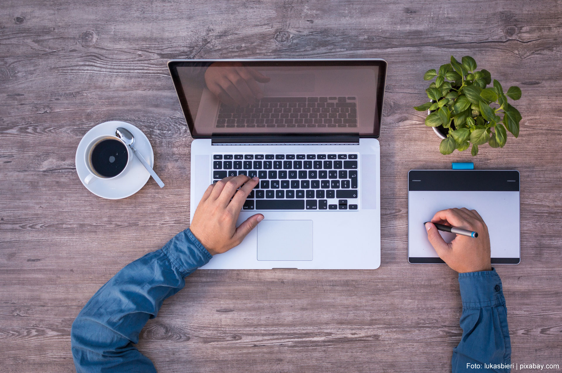 Professionelle Webdesigner